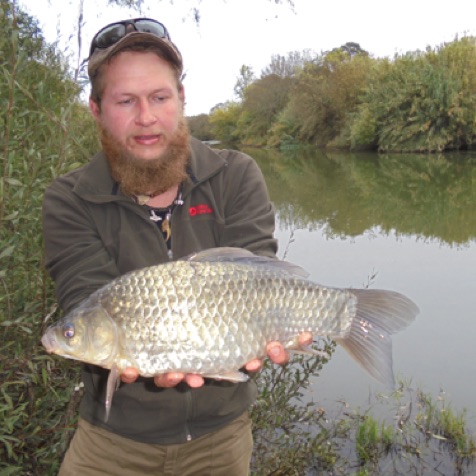 Giant Crucian Carp.jpg